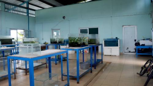 Lab Basah